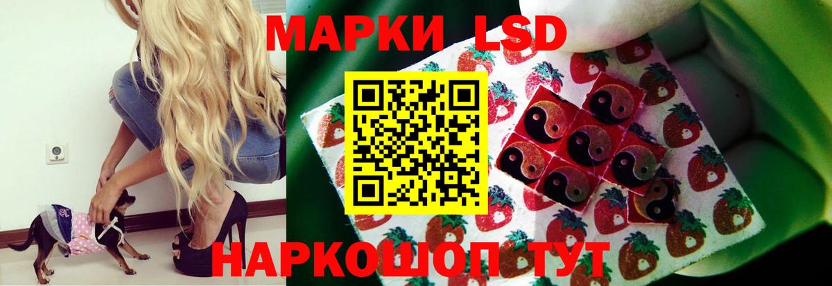 ЛСД экстази ecstasy  ЛСД экстази ecstasy  Вход с VPN  Шелехов 